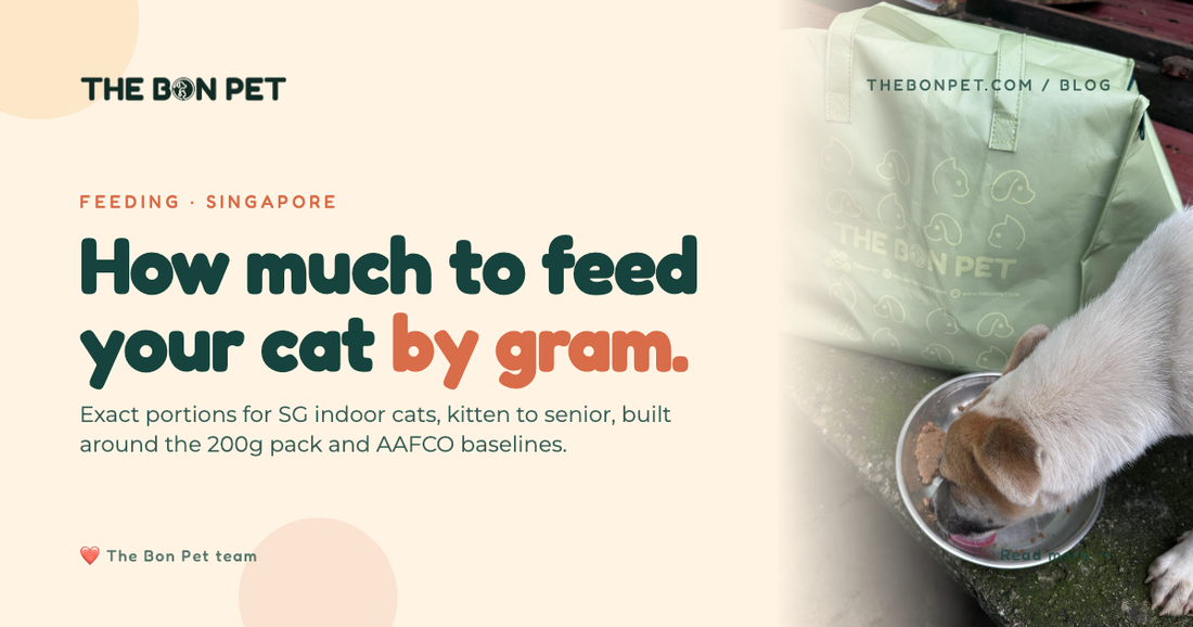 How Much To Feed A Cat: SG Portion Guide (200g Packs)