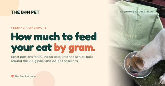 How Much To Feed A Cat: SG Portion Guide (200g Packs)