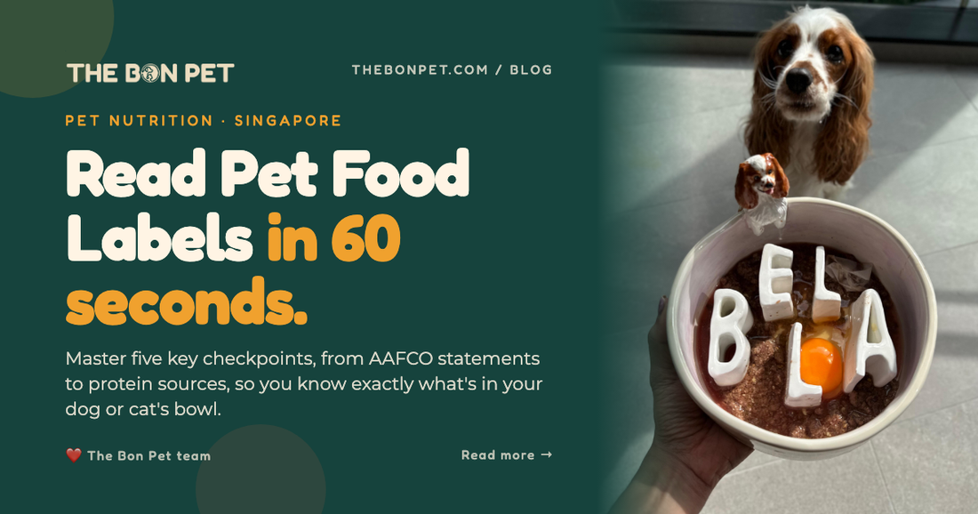 How to Read Pet Food Labels Effectively: A 60-Second Decoder