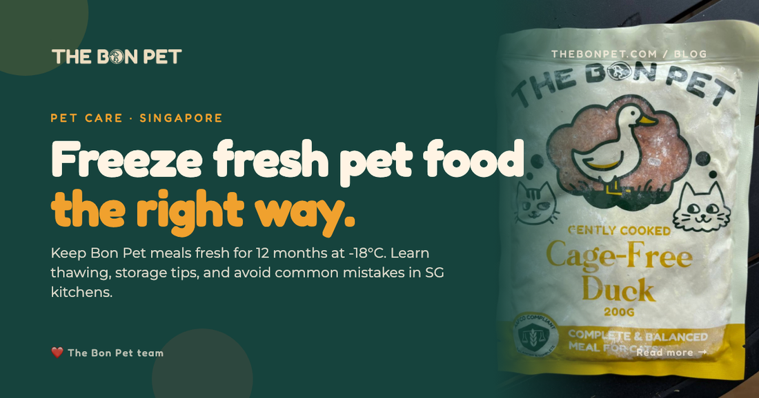 How To Store Fresh Pet Food Long Term