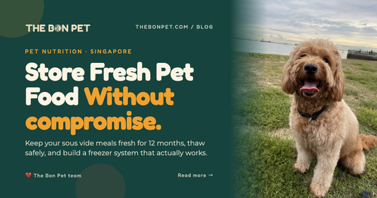 How to Store Fresh Pet Food Long-Term: The Complete SG Guide