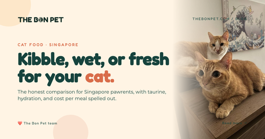 Kibble vs Wet vs Fresh Cat Food: SG Pet Parent Guide