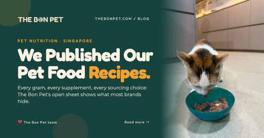 Open-Source Pet Food: Why We Publish Our Recipes (and What 'Transparency' Should Actually Mean)
