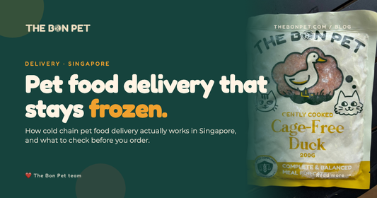 Pet Food Delivery Singapore: Cold Chain Explained
