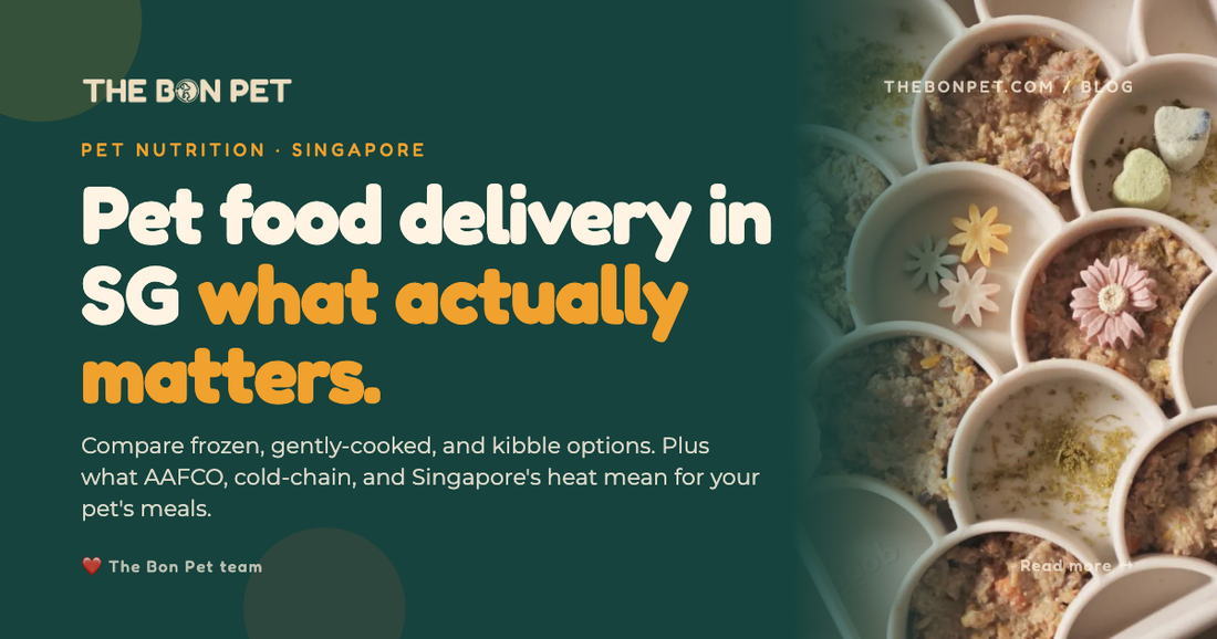 Pet Food Delivery Singapore