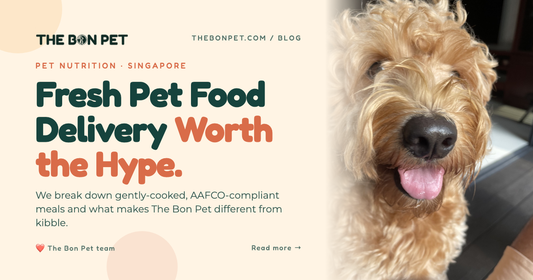 Pet Food Delivery Singapore: A Pawrent's Guide to Fresh, Frozen & Kibble Options