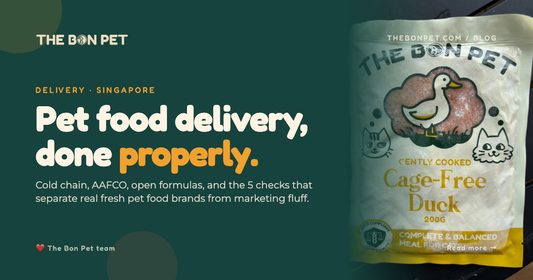 Pet Food Delivery Singapore: How to Pick a Brand