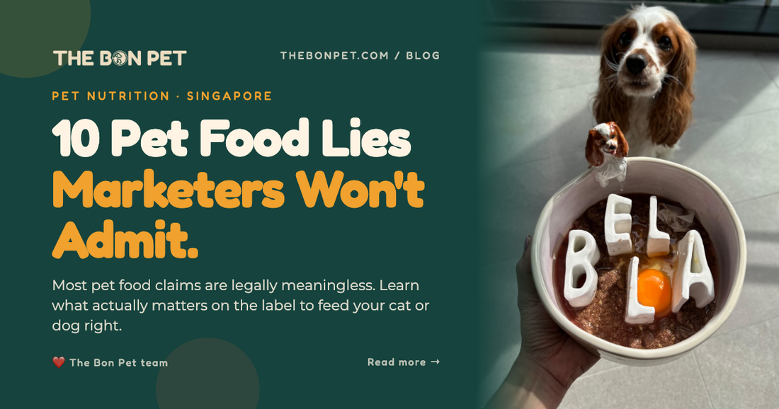 Pet Food Scams: 10 Deceptive Claims & How to Spot Them