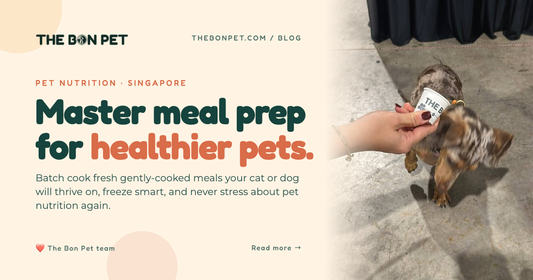 Pet Meal Prep Tips for Singapore Pawrents (2026)