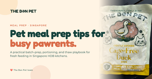 Pet Meal Prep Tips for Singapore Pawrents (2026)