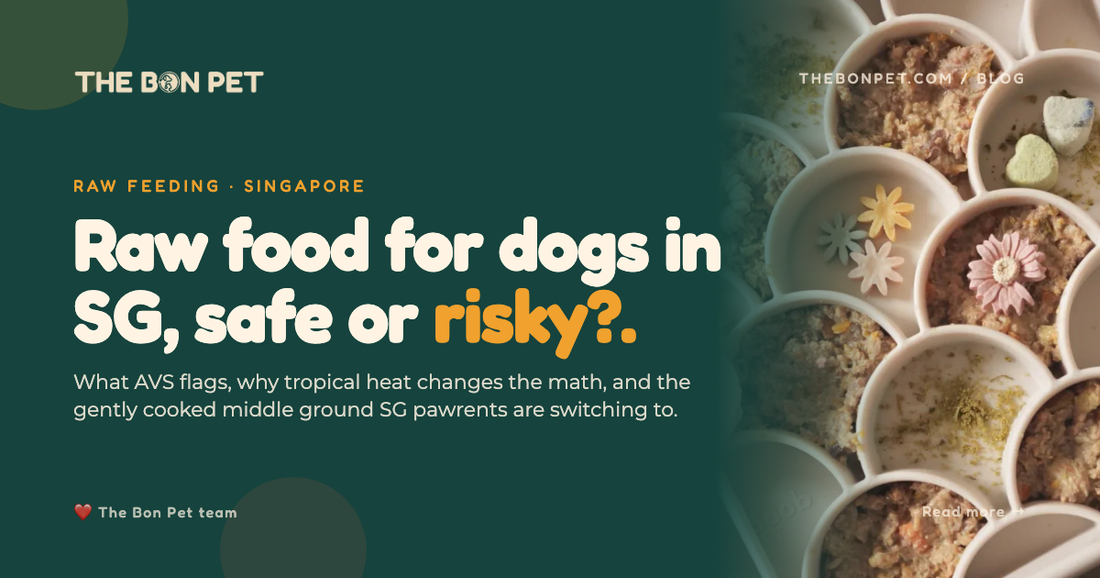 Raw Food Diet for Dogs in Singapore: Safe or Risky?