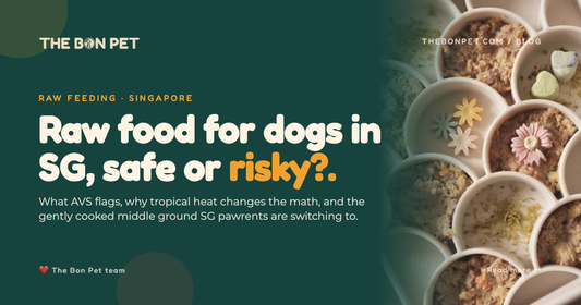 Raw Food Diet for Dogs in Singapore: Safe or Risky?