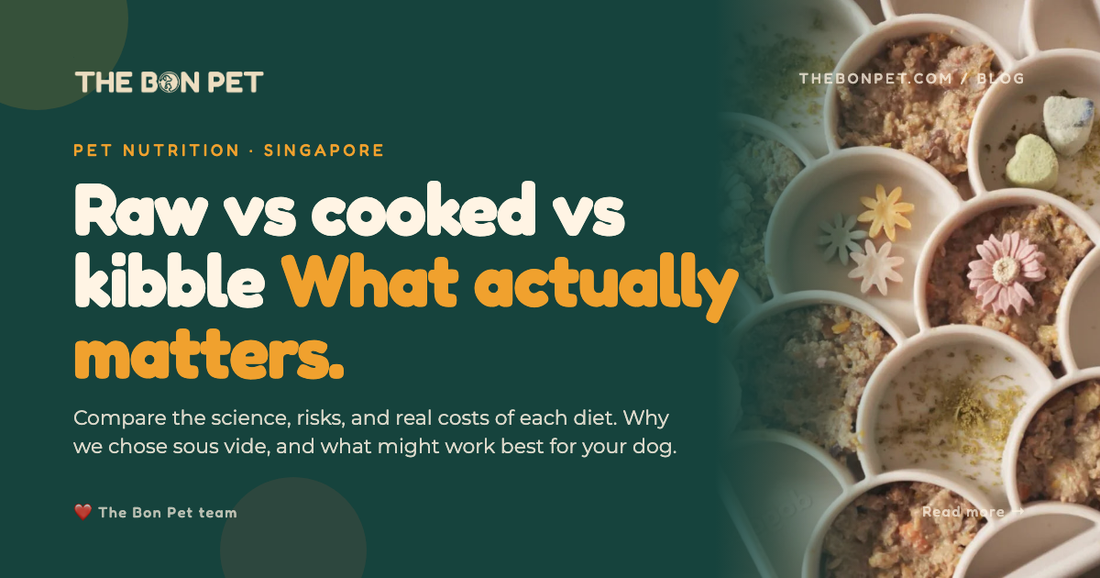 Raw Vs Cooked Vs Kibble Singapore