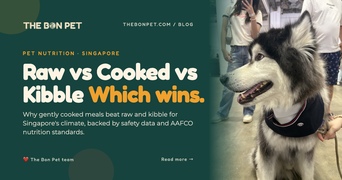 Raw vs Cooked vs Kibble: The Honest Guide for Singapore Dog Parents