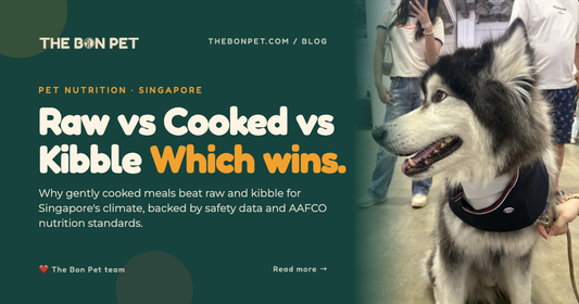 Raw vs Cooked vs Kibble: The Honest Guide for Singapore Dog Parents