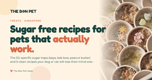 Sugar Free Recipes for Pets in Singapore: Safe Guide