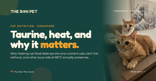 Taurine in Cat Food Singapore: Why Heating Destroys It
