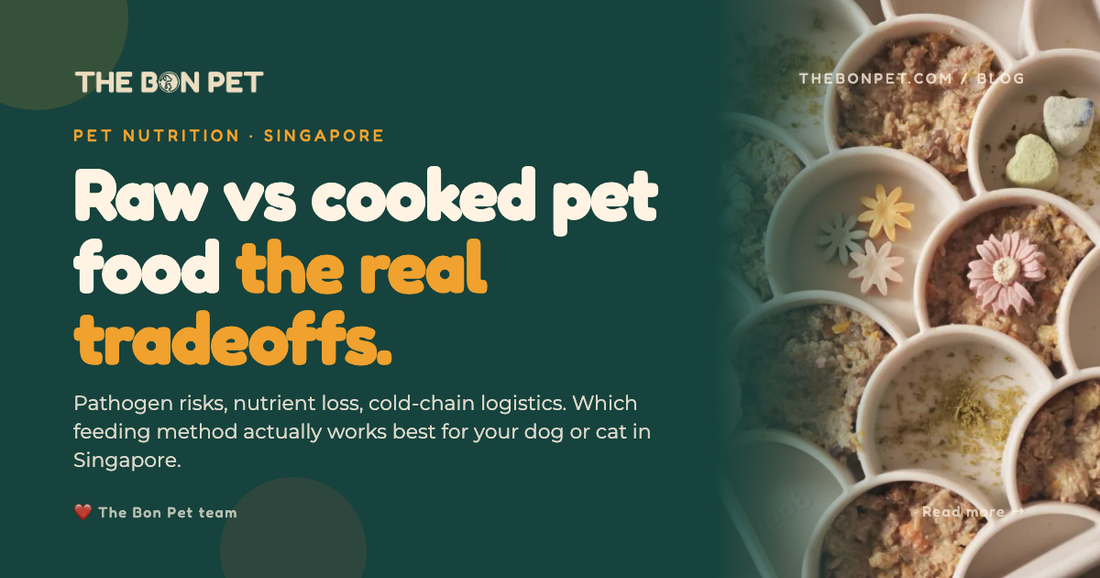 The Pros And Cons Of Raw Vs Cooked Pet Food In Singapore