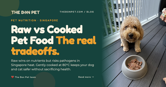 Raw vs Cooked Pet Food in Singapore: The Honest Pros and Cons