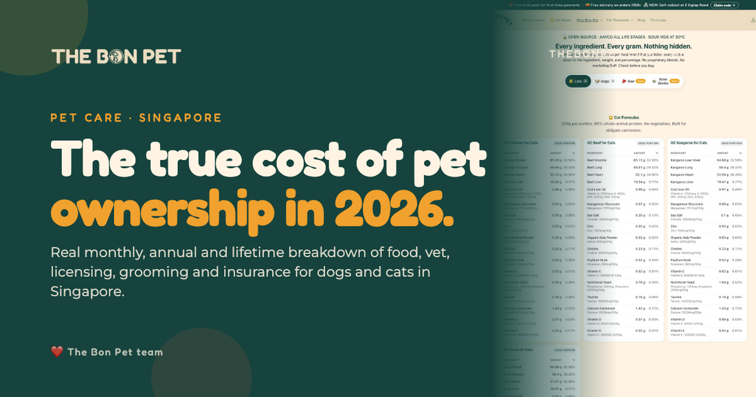 The True Cost Of Pet Ownership In Singapore