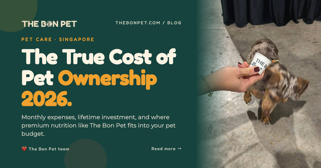 The True Cost of Pet Ownership in Singapore (2026 Breakdown)