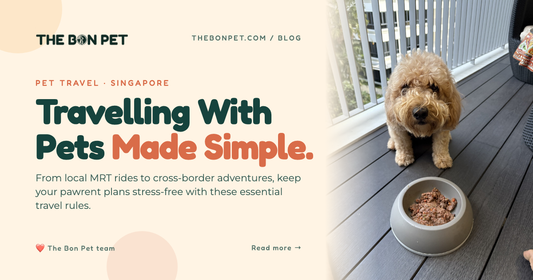 Travelling With Pets in Singapore: A Practical Guide for Pawrents