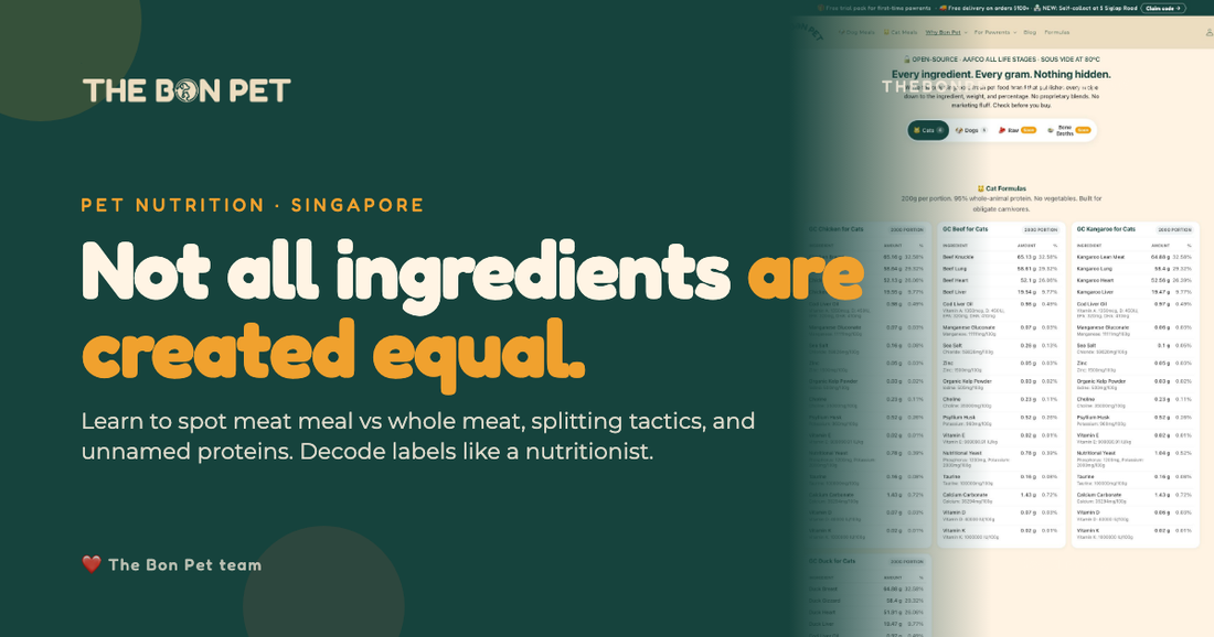 Understanding Pet Food Ingredient Lists