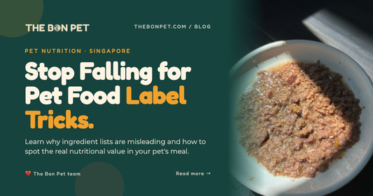 How to Read Pet Food Ingredient Lists: Decoding Labels Like a Nutritionist