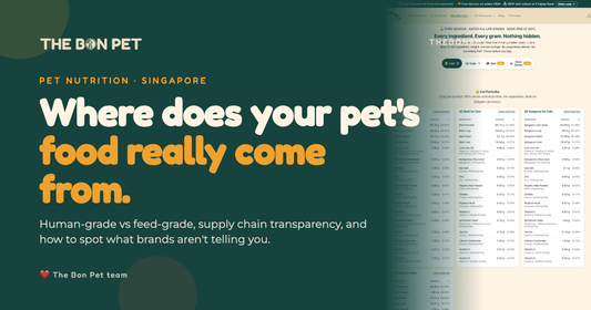 Understanding Pet Food Ingredient Sourcing Ethics