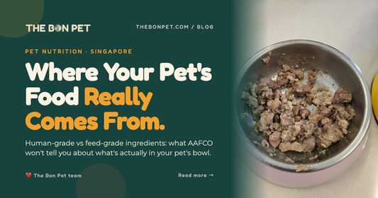 Understanding Pet Food Ingredient Sourcing & Ethics: Where Does Your Food Come From?