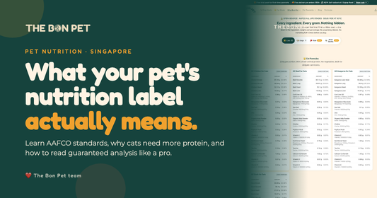 Understanding Pet Macronutrients A Complete Guide