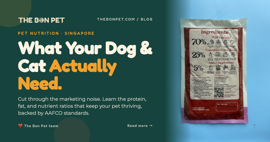 Understanding Pet Macronutrients: A Complete Guide for Dogs & Cats