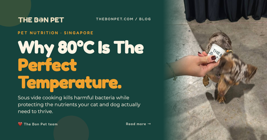 What Is Sous Vide Pet Food? The Science of Cooking at 80°C (and Why We Don't Go Higher)