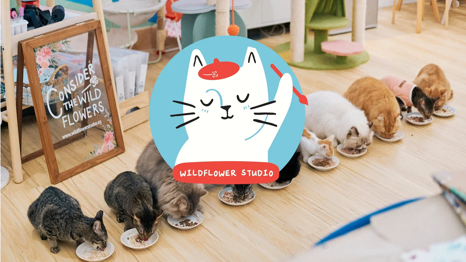 thebonpet-support-wildflower-studio