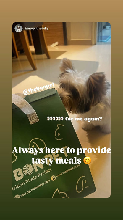 Gently Cooked Free Range Chicken for Dogs - Trial Packs