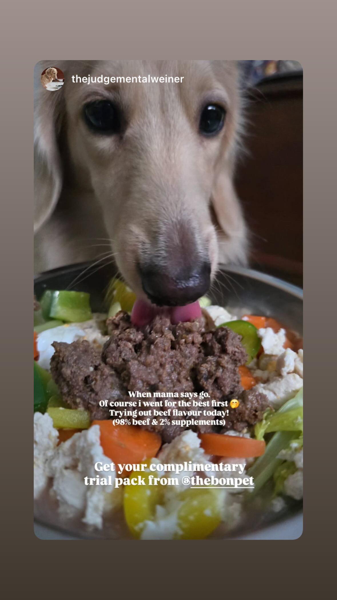 Gently Cooked Free Range Chicken for Dogs - Trial Packs