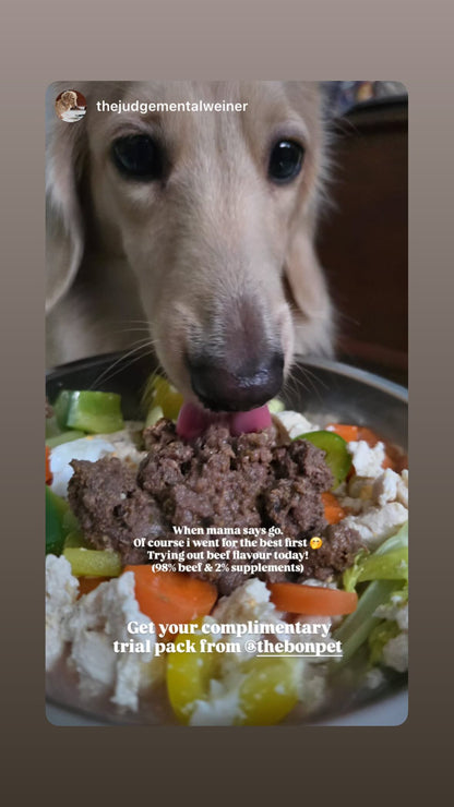 Gently Cooked Free Range Chicken for Dogs - Trial Packs