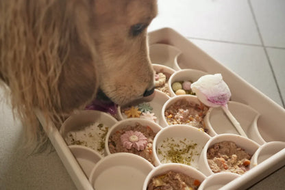 The Bon Pet fresh chicken dog food made with free-range chicken for picky eaters