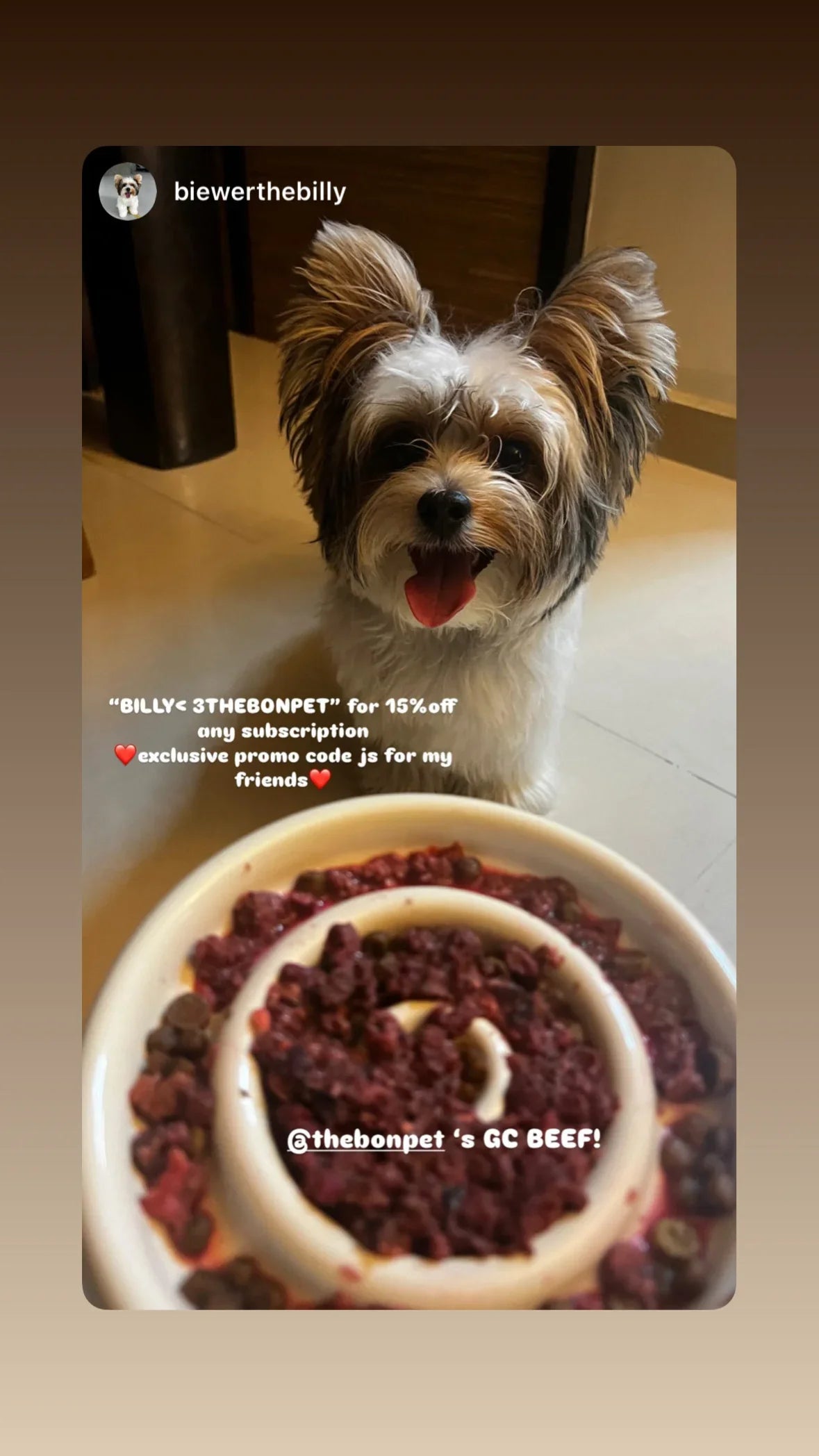 The Bon Pet gently cooked beef dog food for healthy digestion and daily wellness