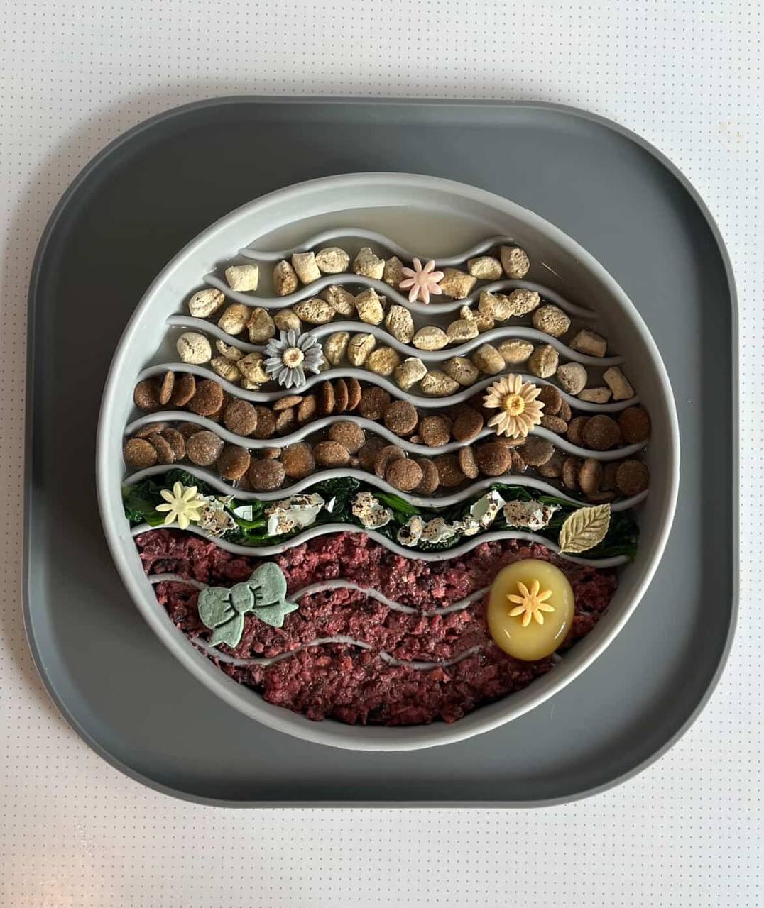 The Bon Pet single protein beef dog food complete and balanced recipe for dogs