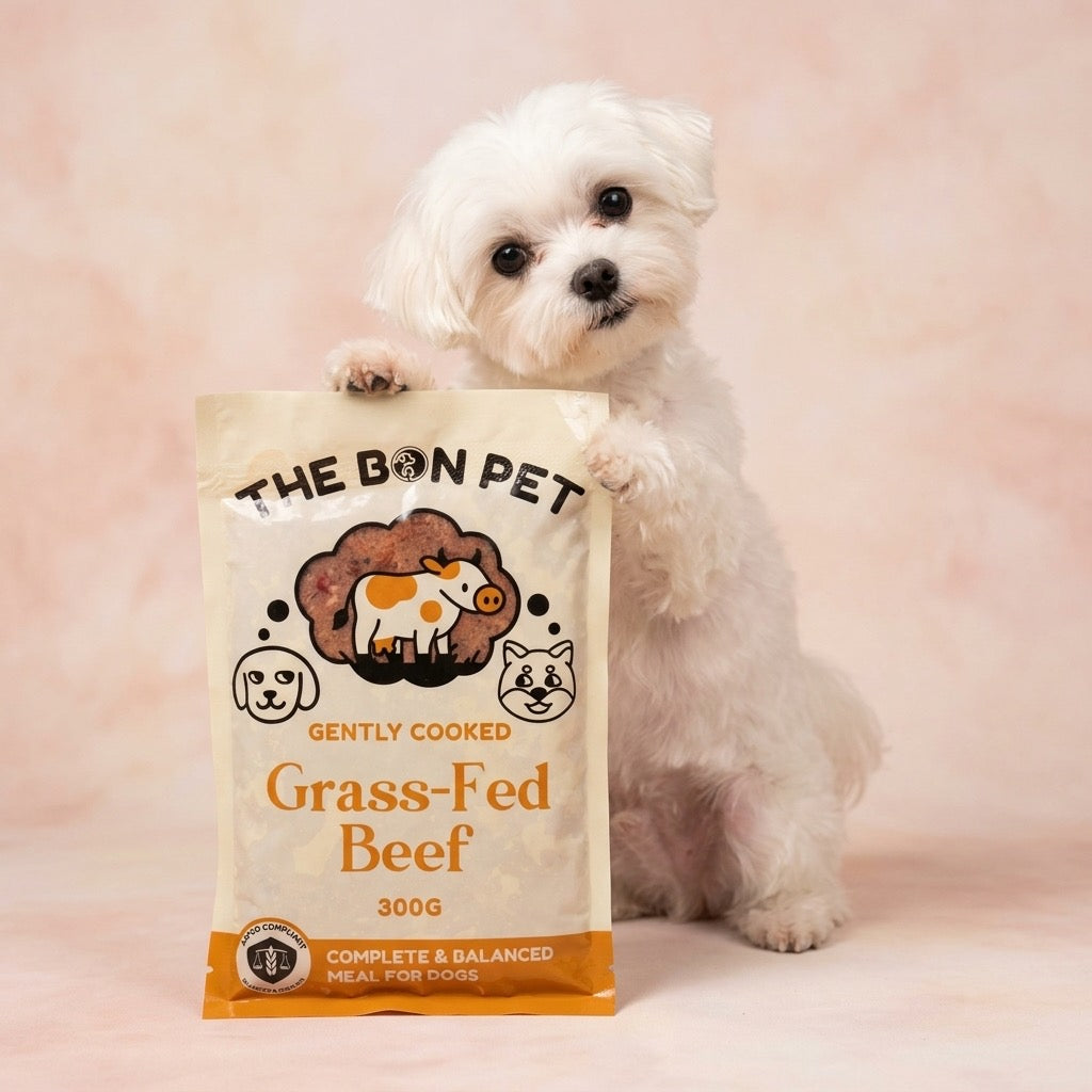 Fresh Dog Food for Maltese