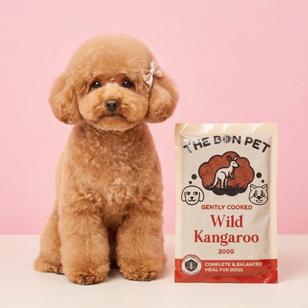 Fresh Dog Food for Poodles