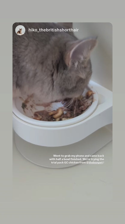 Gently Cooked Grass-Fed Beef for Cats - Trial Packs