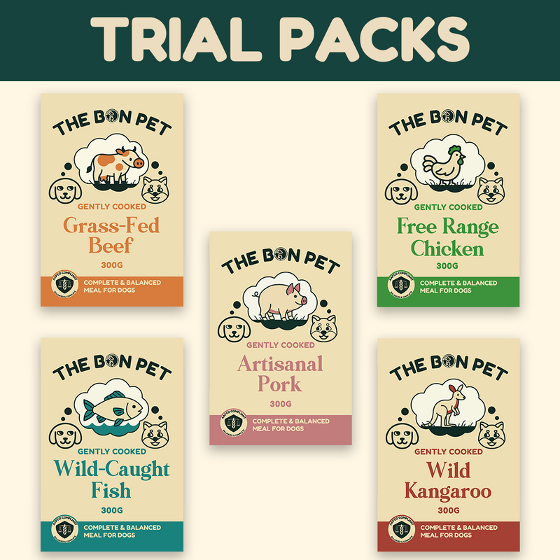 Gently Cooked Sampler Set for Dogs
