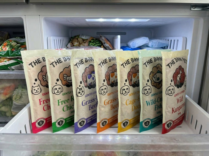 A row of The Bon Pet meal packs lined up in a freezer drawer