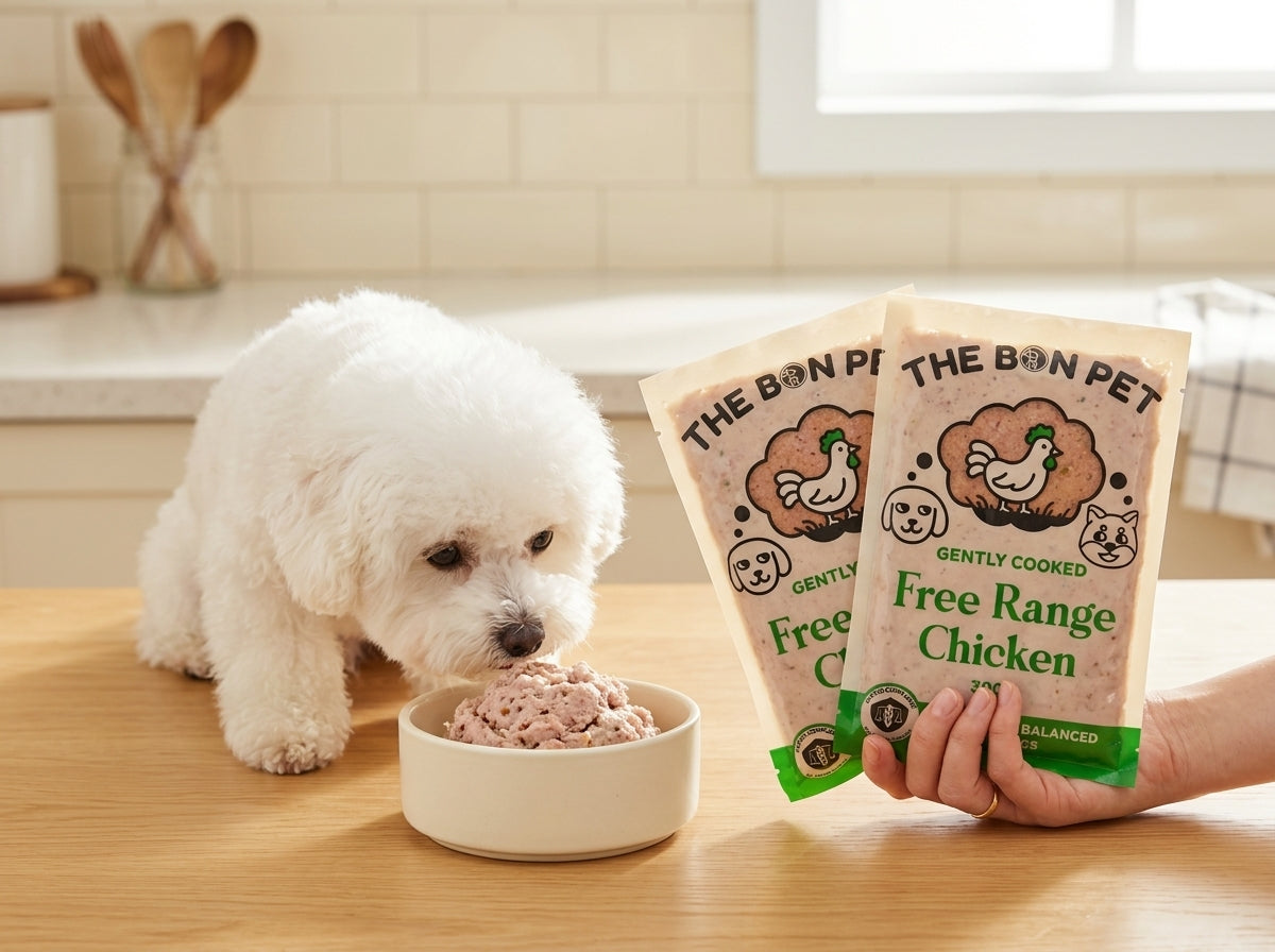 A small white dog eating from a bowl next to The Bon Pet Free Range Chicken packs